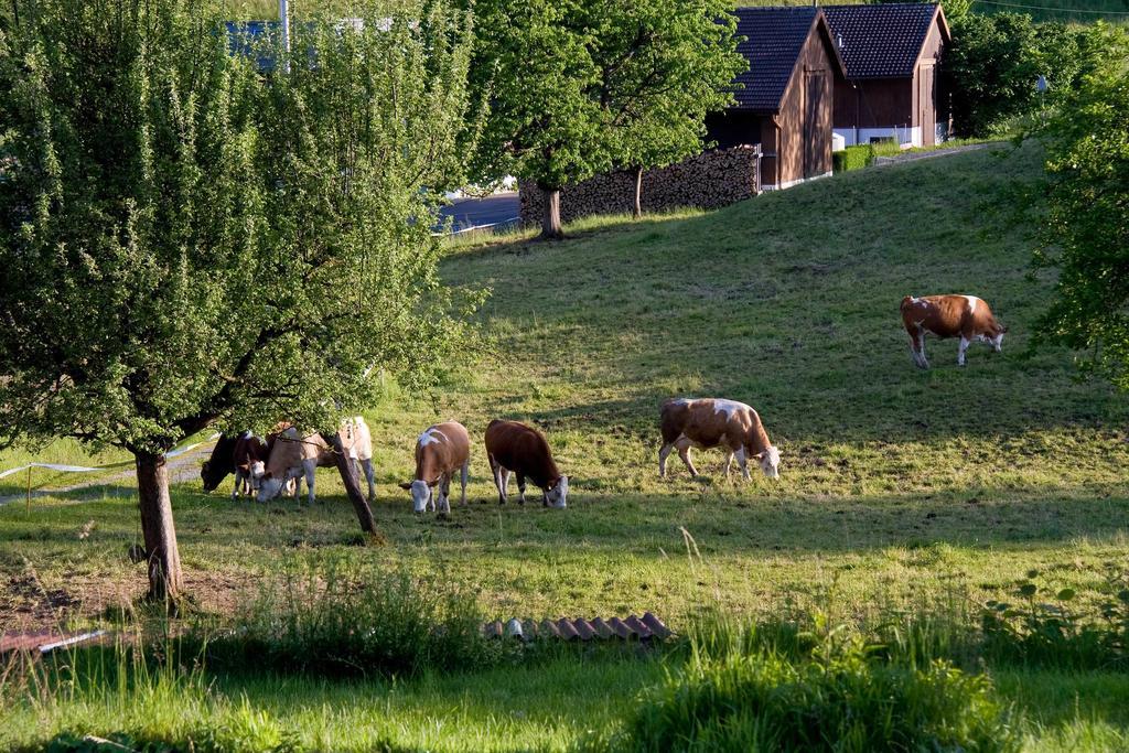 Seehotel Boutique Jaegerhof-Hubertus Фолензее Екстер'єр фото